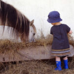 Enfant Bambin poney foin nourrissage