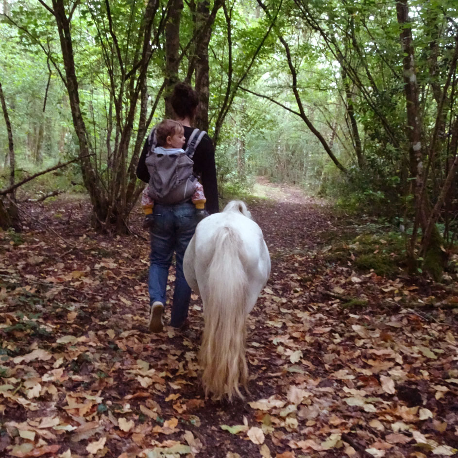 Balade à poney en forêt maman bébé