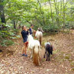 Poneys balade forêt enfants ados bébé