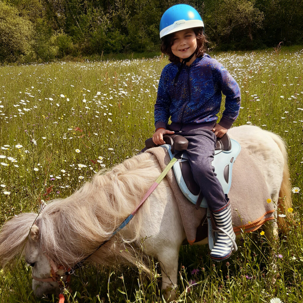 Balade à poney dans un champ de fleurs