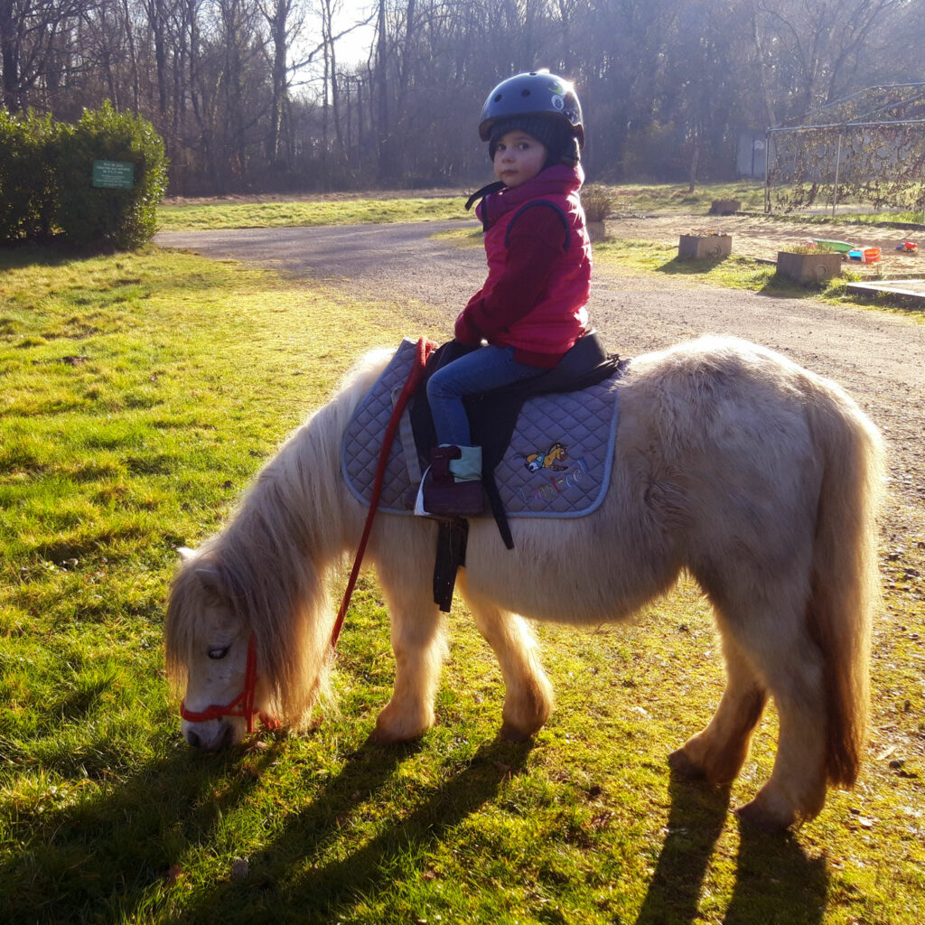 Balade à poney l'hiver