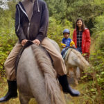 Balade à poney, sortie en famille