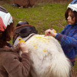 Poney land art, décoration poney fleurs