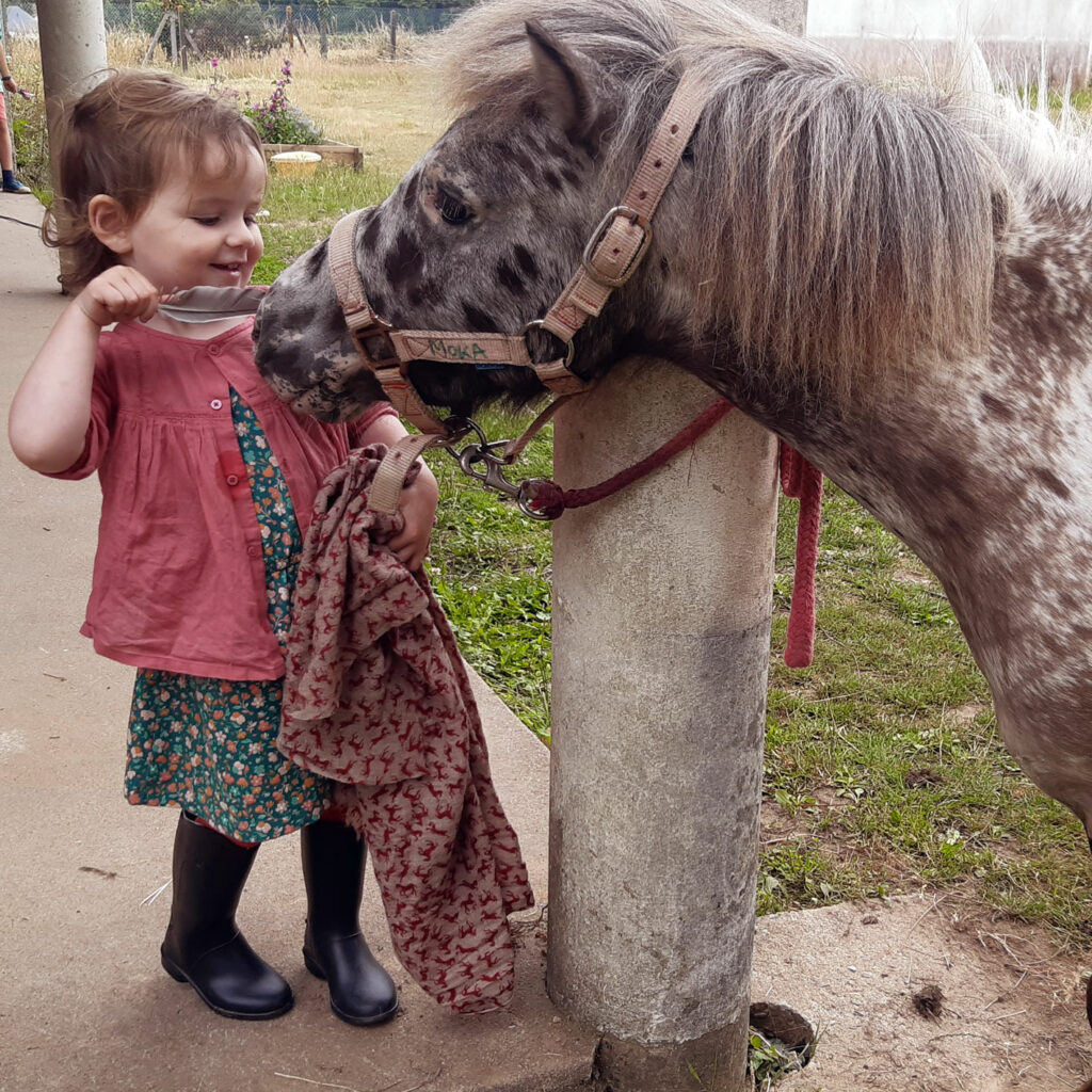 Moka, poney type shetland léopard avec petite fille qui joue avec une plume