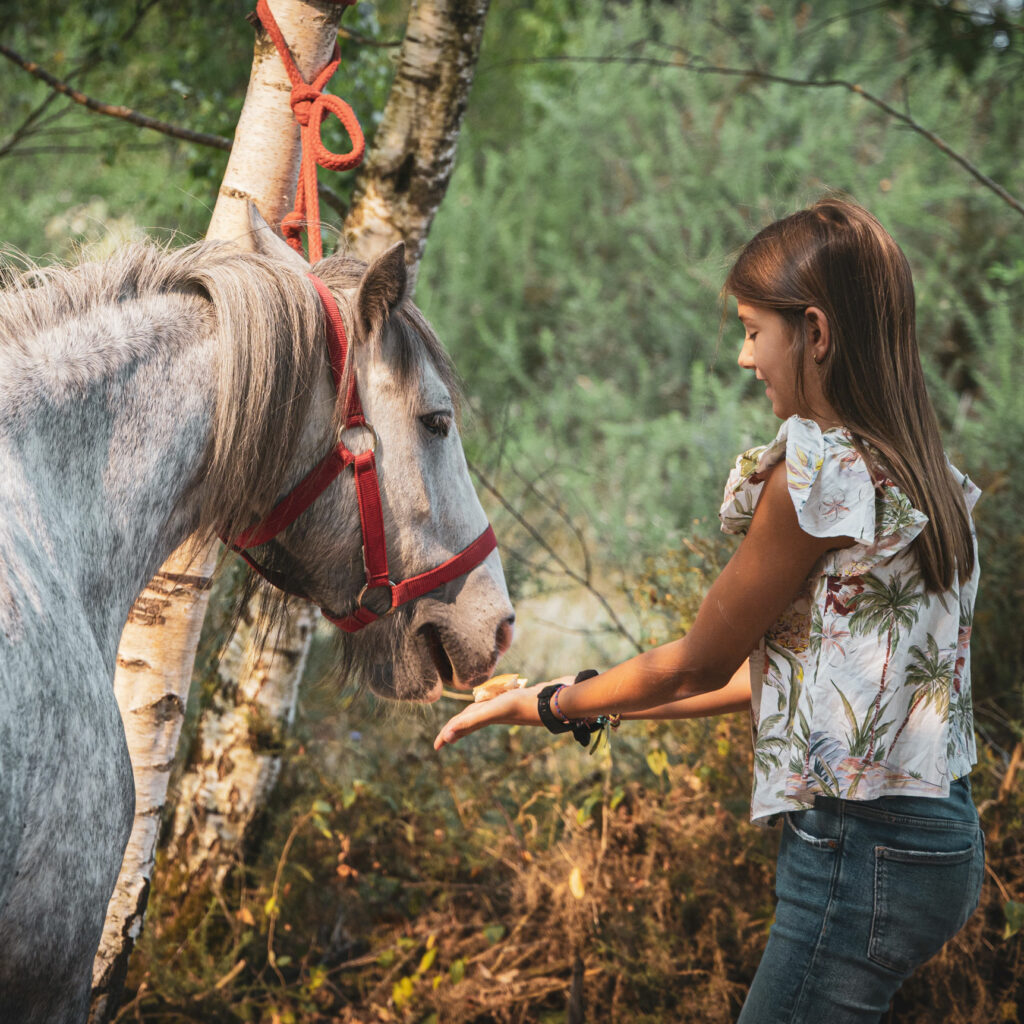 Les Poneys de l'Antenne - Centre équestre - Séance individuelle