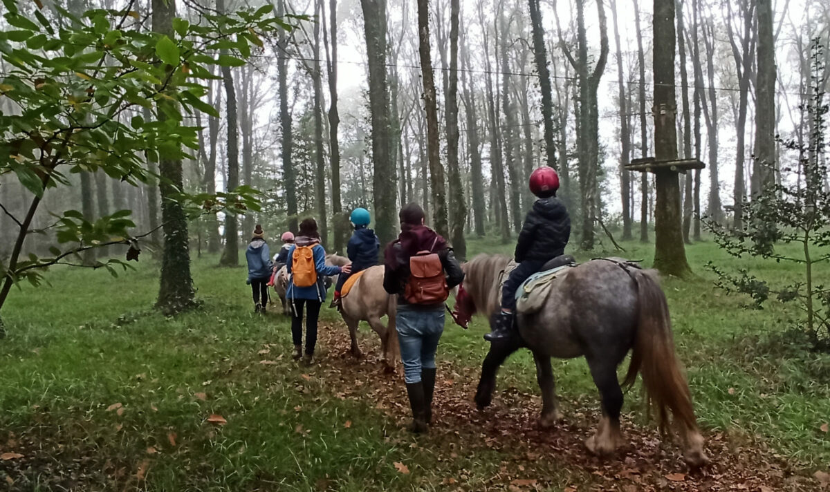 Lecture à la fin du jeu de piste du Roi de la Forêt