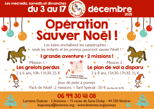 Les poneys de l'Antenne - Affiche Noël 2025
